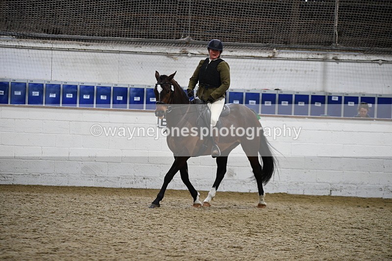 WJ5_7949 - Class 13 Ridden Part Breed