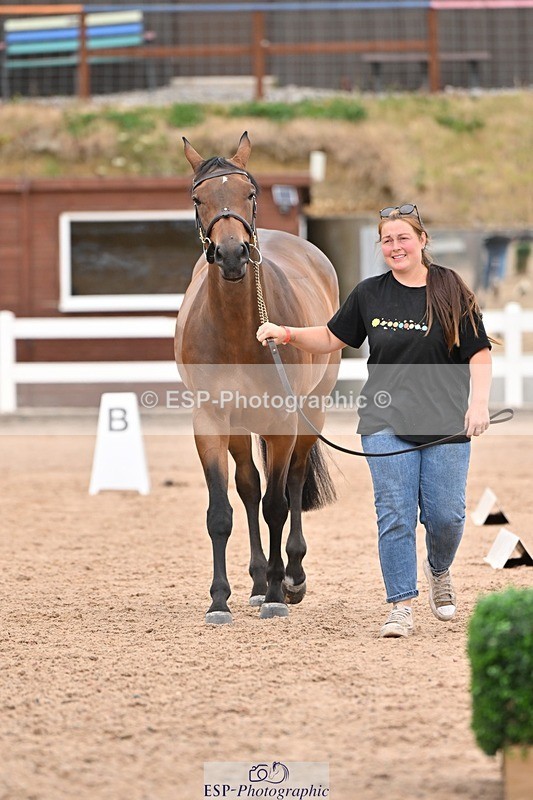 250716-160708-02418 - Trot Up 3.30 to 4.30