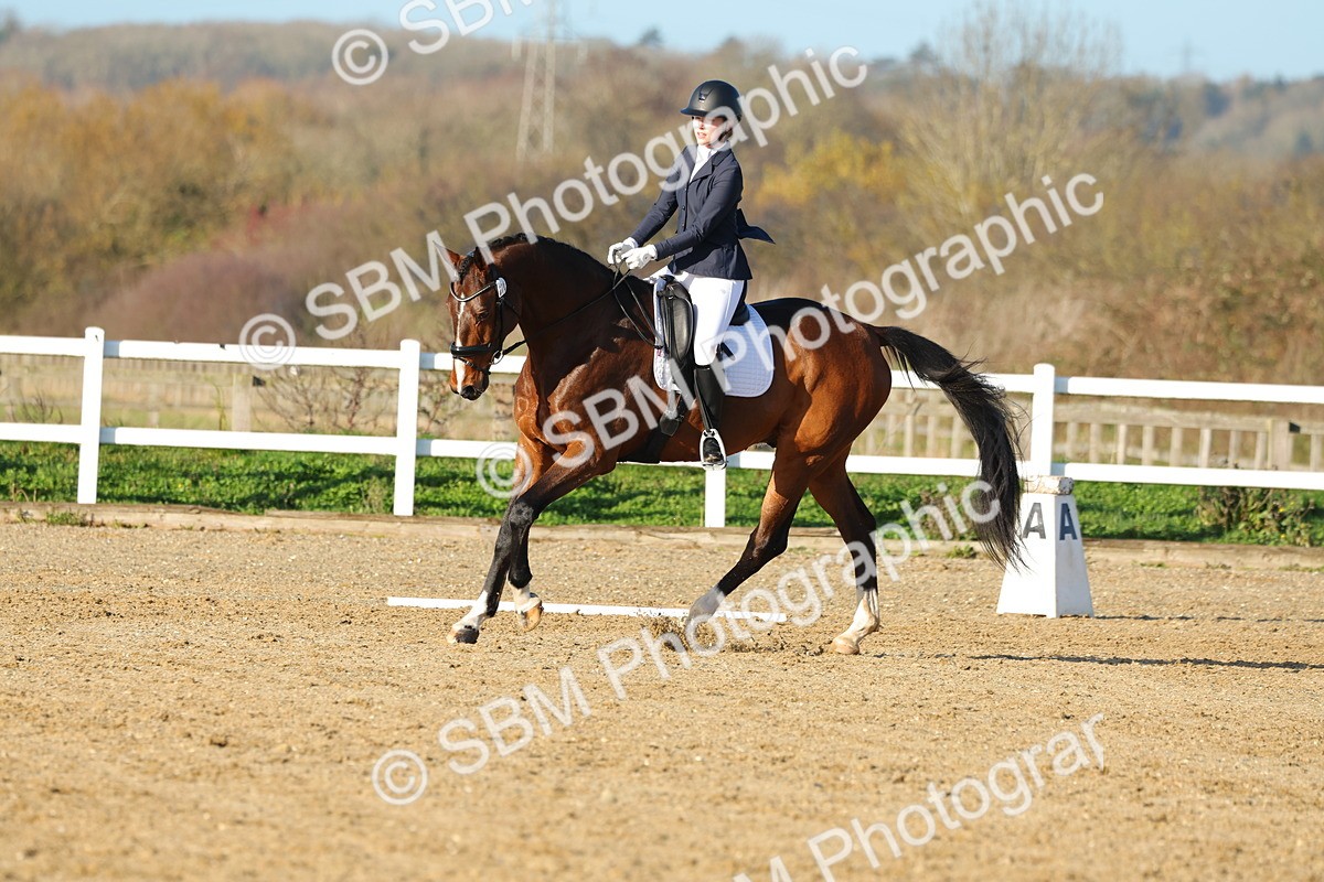 1I0A4724 - Class 5 - Novice 5