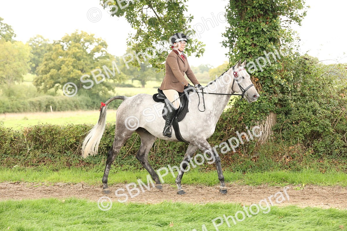 SBM_64152 - S65 - Riding Horse & Hack & Thoroughbred Ridden