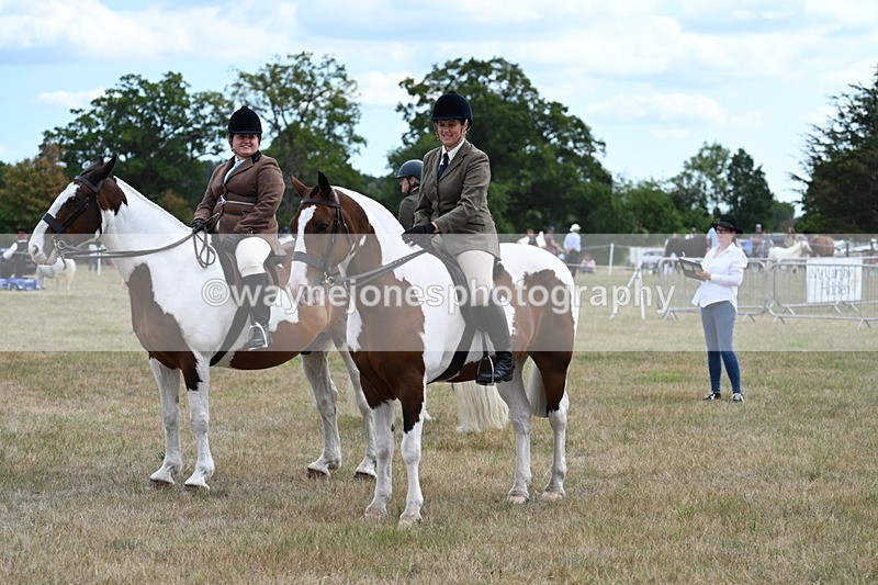 WJ7_5463 - Class 12 Ridden Cob