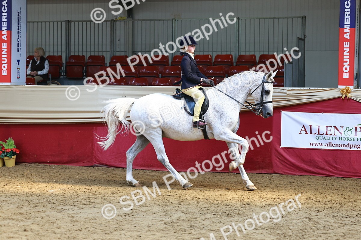 SBM_23914 - Class 905 - Supreme Final - Ridden Veteran