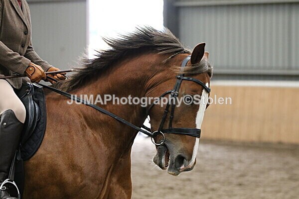 SIAL2515 - Sunday 14th Ridden