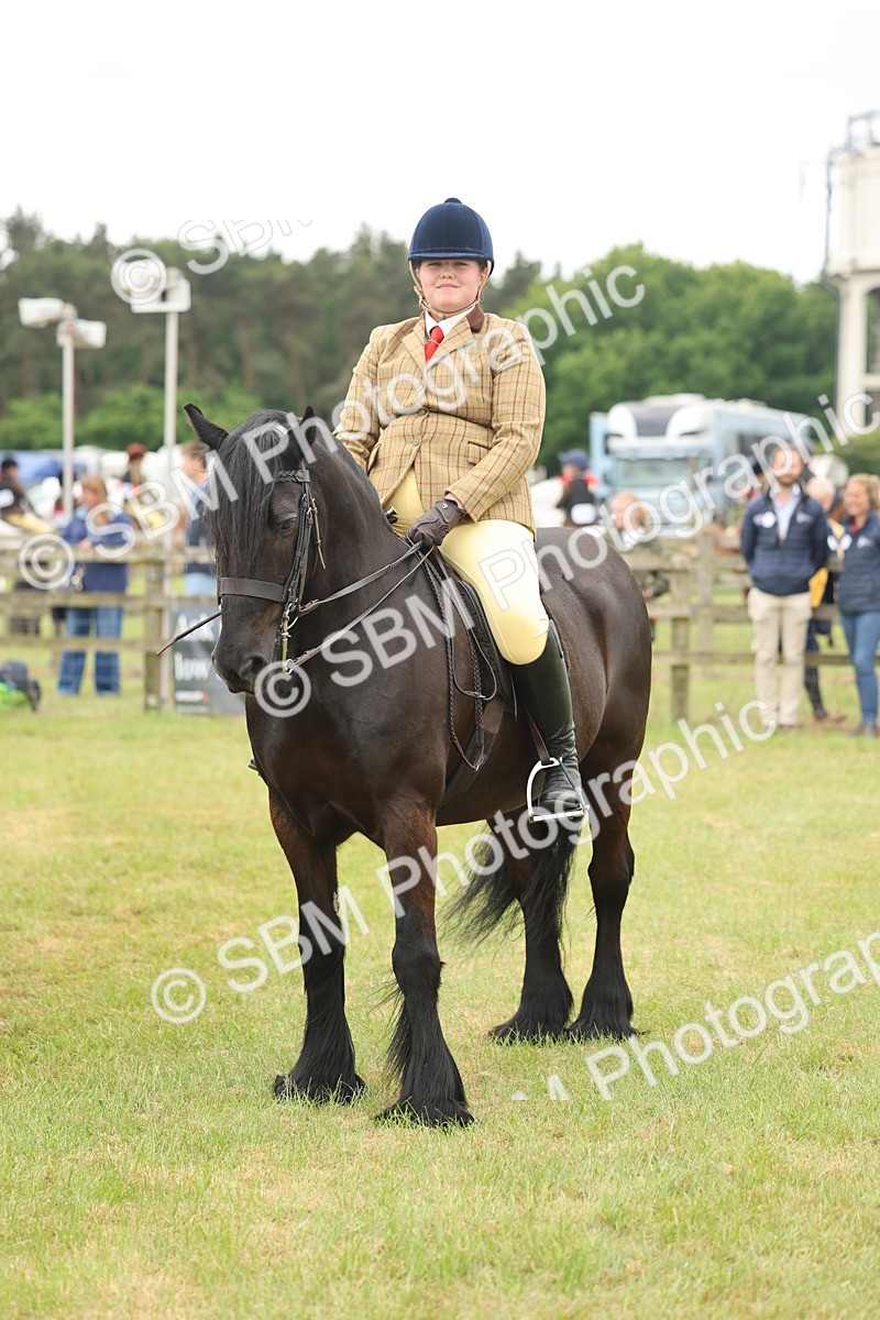 SBM_09016 - Class 78-80 - Ridden M&M Non Welsh Ponies