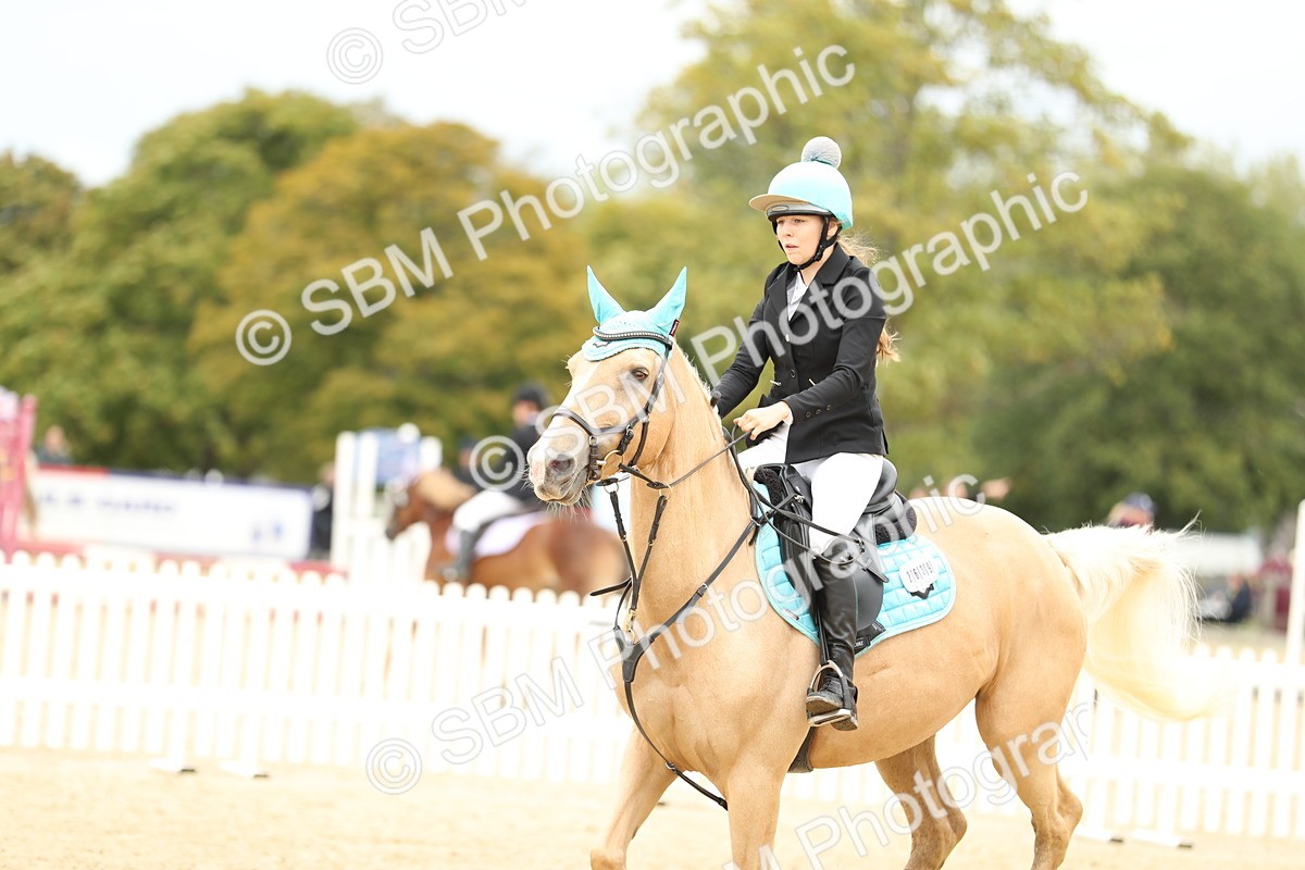 SBM_65583 - J48 - Pairs Jumping Open 70cm & 85cm