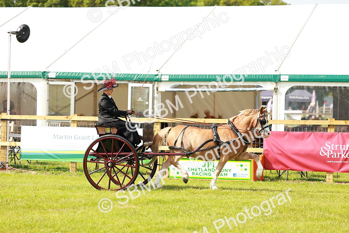 SBM_02545 - Class 2-4 - HOYS Private Driving