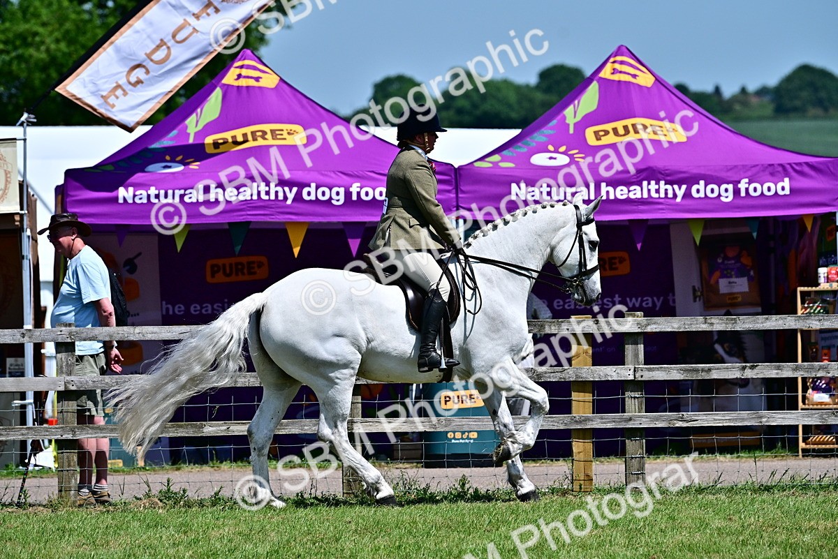 SBM_17489 - Class 95-97 - BSPS LHS Performance Ponies