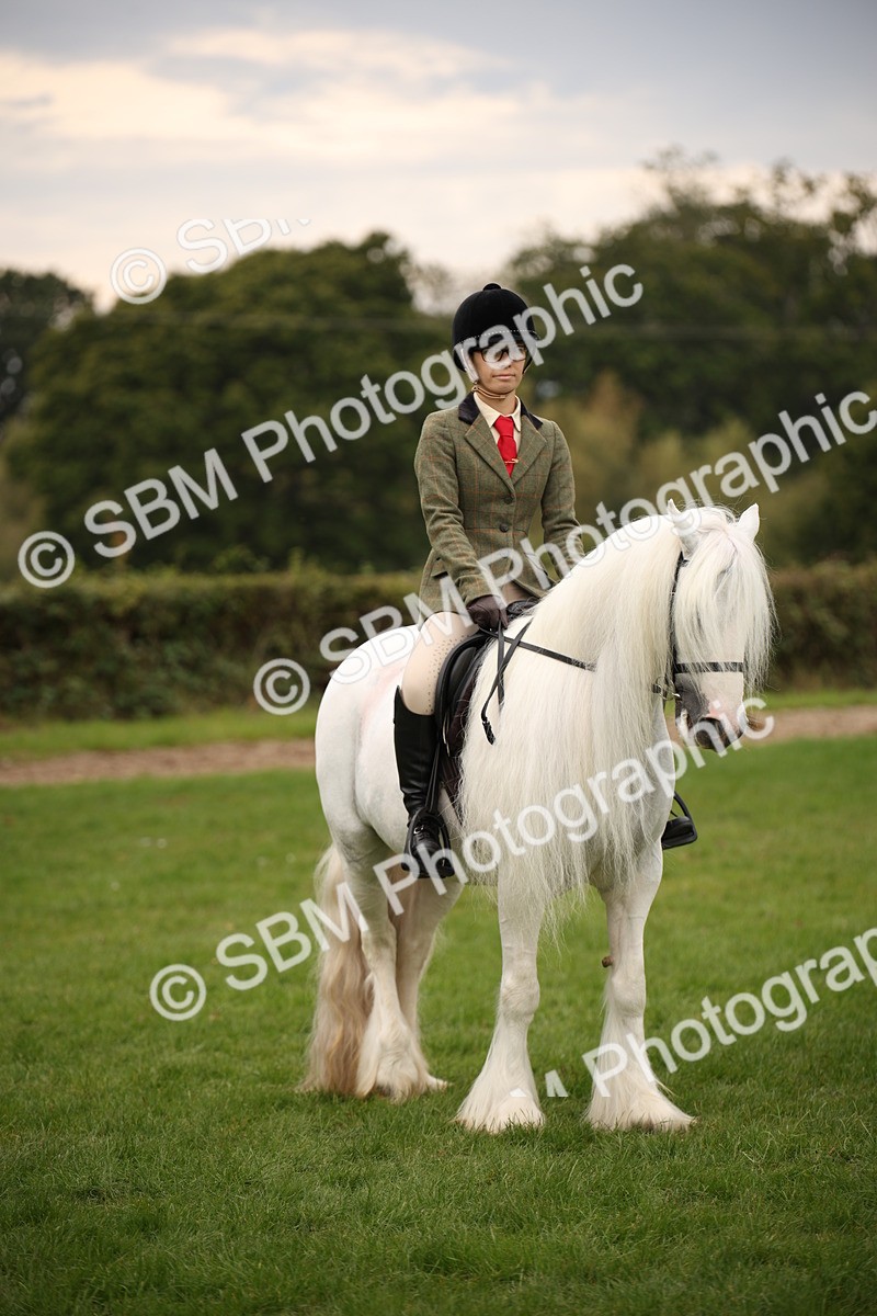 SBM_73469 - S68 - Traditional Cob Ridden