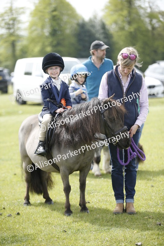 20260426-1920 - Class 7 - Pony Judge Would Most Like To Take Home