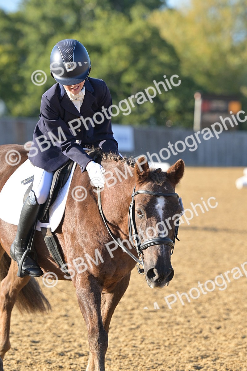 SBM_13111 - D3 - Small Tour Championship Intro 3