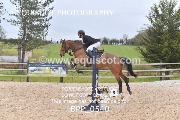 BPP_0540 - CLASS 3  Club/ Unaffiliated 90cms Open