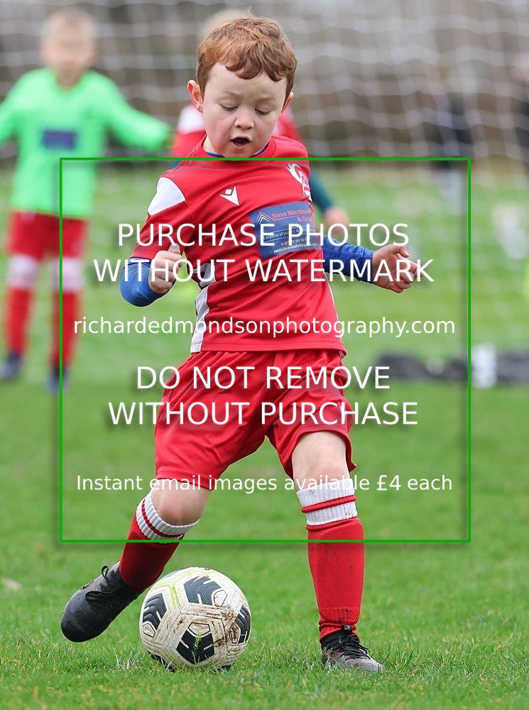 533A1014 - Ibis Under 7's (28/2/26)