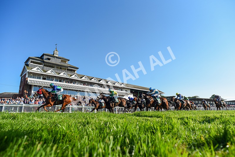 180524-Race 8-Lord Abama-2-3 - Race 8