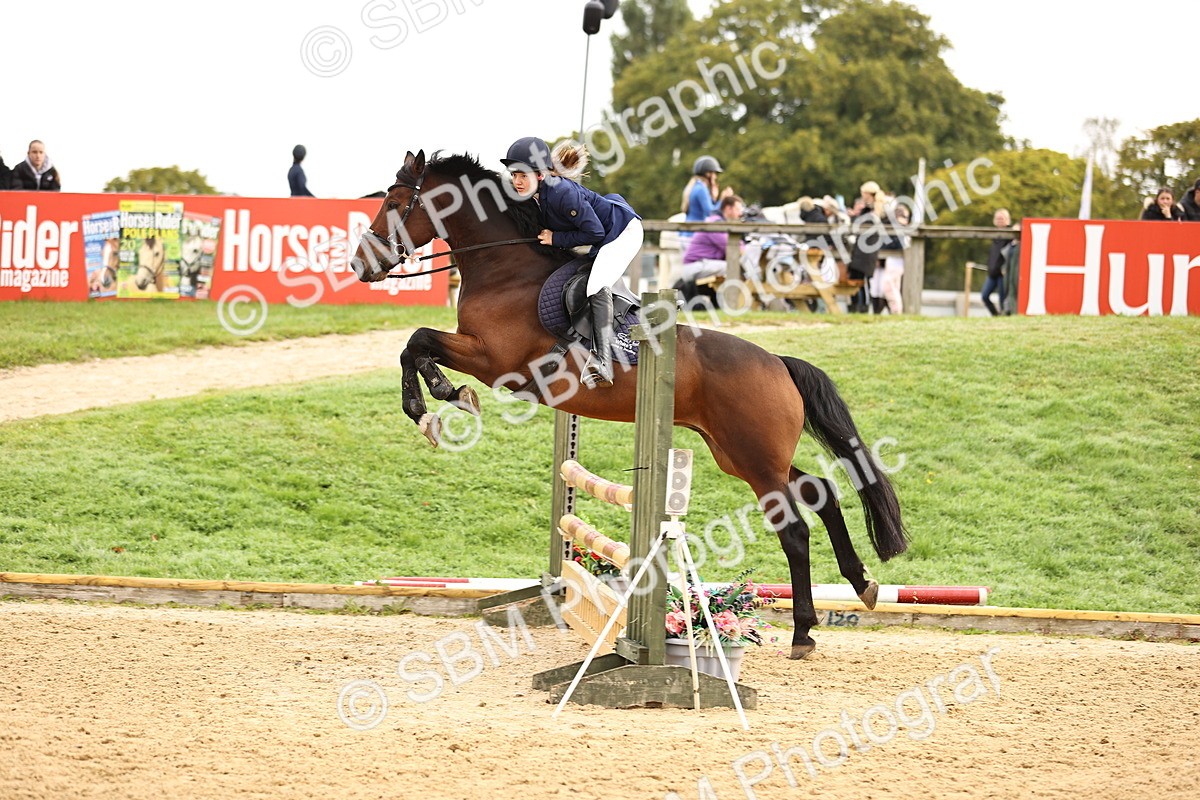 SBM_58501 - J41 - Grand Tour Horse & Pony 95cm