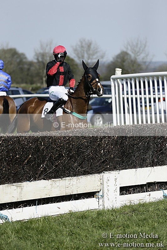 PtP 260317 169 - Mendip Farmers Point-to-Point Ston Easton 26/03/17