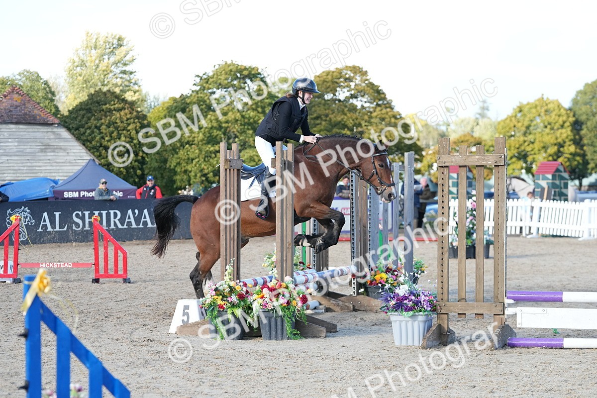 SBM_29002 - J43 - Horse & Hound Open 50cm