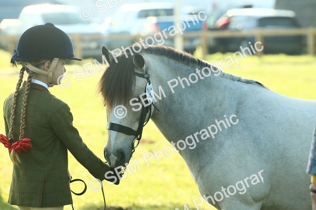 SBM_57480 - S37 - Starters In Hand Showing