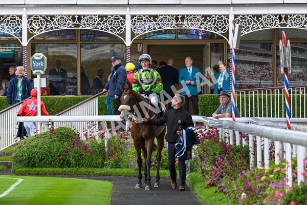 120724-Race 1-Tolstoy-5631 - Race 1 2.05pm William Hill Extra Place Races Daily Handicap