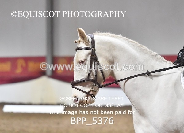 BPP_5376 - 14 Chloe Meldrum