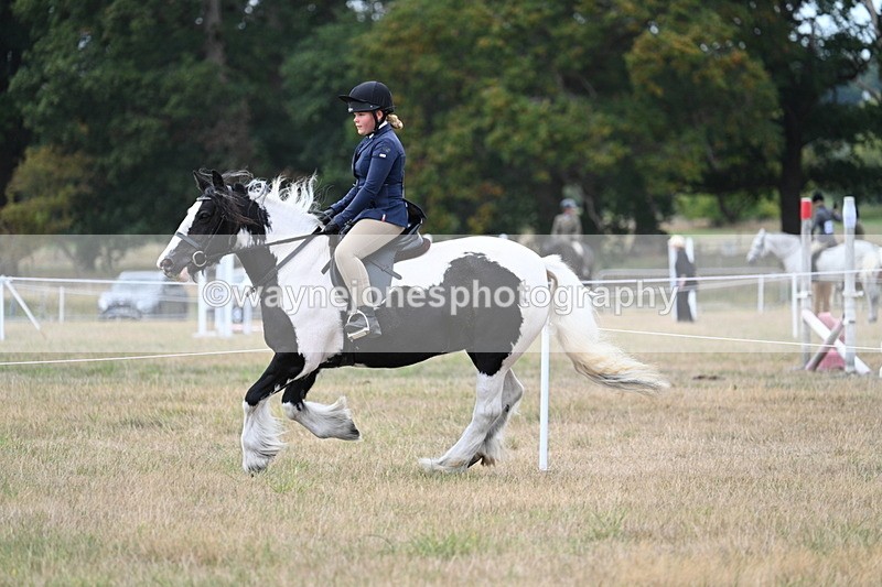 WJ7_5116 - Class 12 Ridden Cob