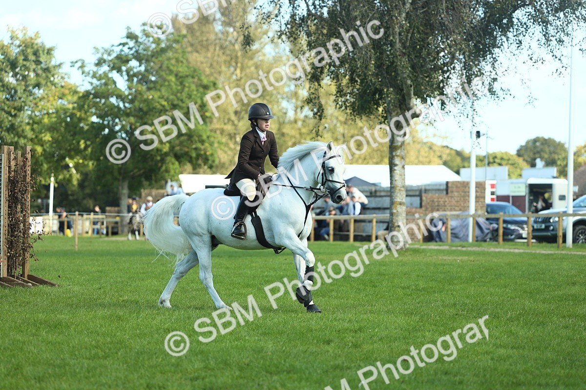 SBM_39223 - S29 - Novice & Newcomers Working Hunter Pony