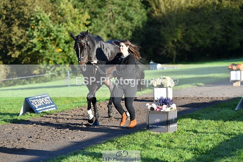 231022-091240-21616 - 671-KILCLOGHER.DAWSON-Lucy.Griffiths-TrotUp+SJ