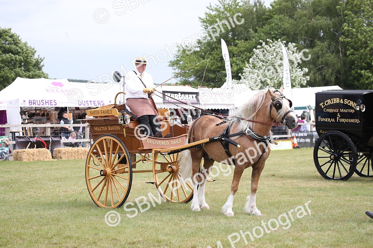 SBM_07019 - Class 16 - Light Trade