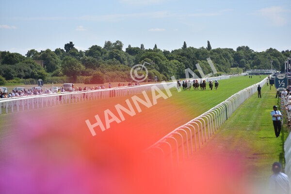 yr08072022r2-27 - Race 2 2.40pm William Hill Summer Stakes