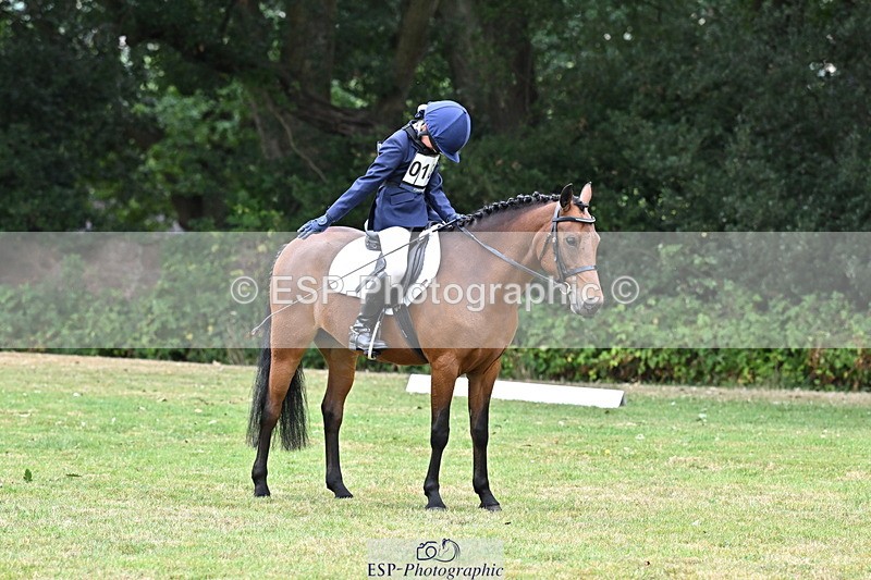 250820A-100052-02434_Start to 11am - 754-020-2434