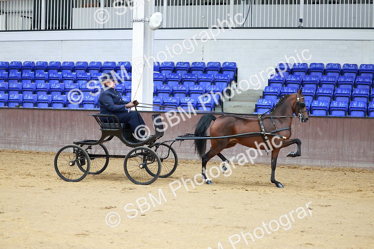 SBM_000622 - Class 9 - HHS Championship Intl Hackney Pony to a Showwagon