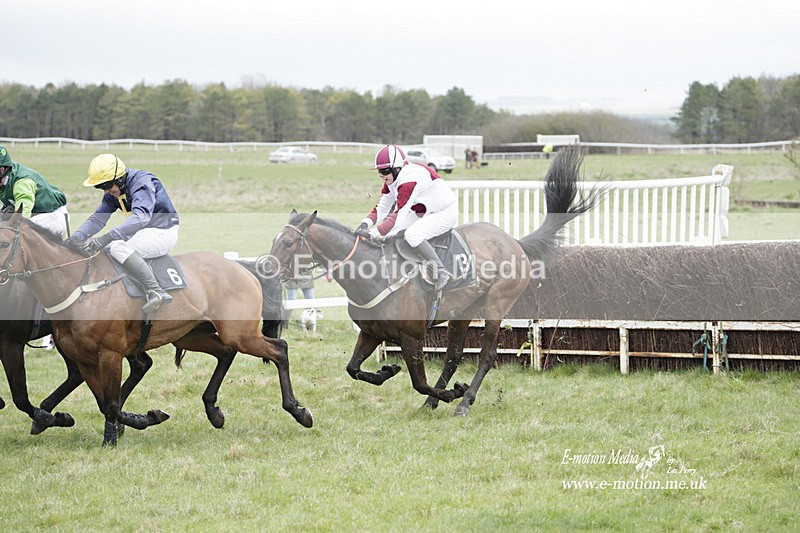 PtP 260323 0502 - New Forest Hounds Point-to-Point Larkhill 26/03/23