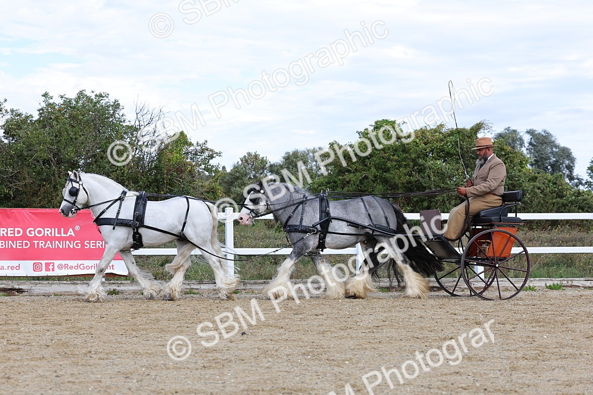 SBM_001196 - Class 16 - Pairs ,Multiples and Tandems