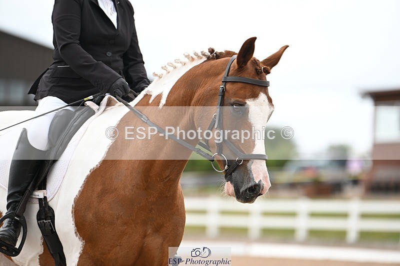 250705-175530-02881 - N3 Section BDNOV3 15.55 to 17.19