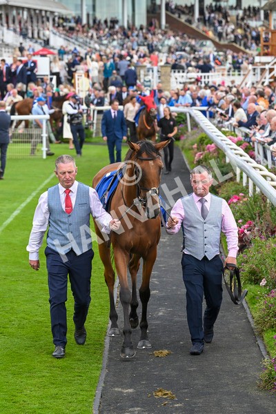 220824-Race 4-Content-7189-2 - Race 4 3.35pm Pertemps Network Yorkshire Oaks