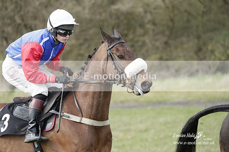 PtP 180323 464 - Shelfield Park Races with Croome & West Warwickshire Hunt  18/03/23