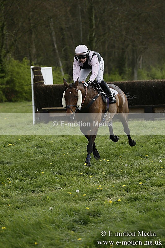 PtP 170417 177 - Old Berks Point-to-Point Lockinge 17/04/17