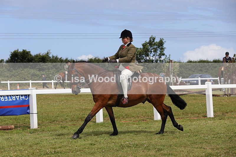 1X9A4011 - Class 32: Show Hunter Pony 153cm and under