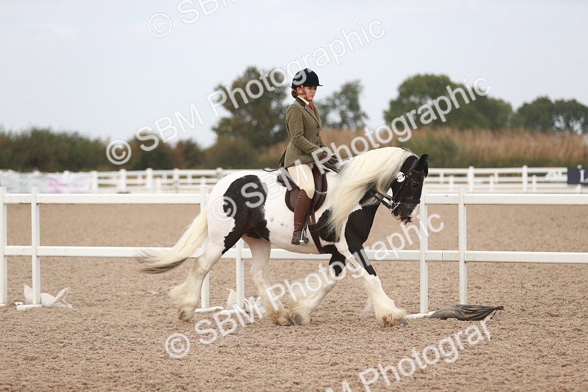 SBM_16598 - Class 214 Ridden Cob