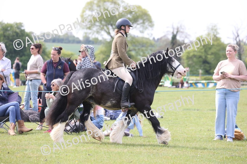 20260426-2921 - Class 33 - Best Pony 14.2hh and Under