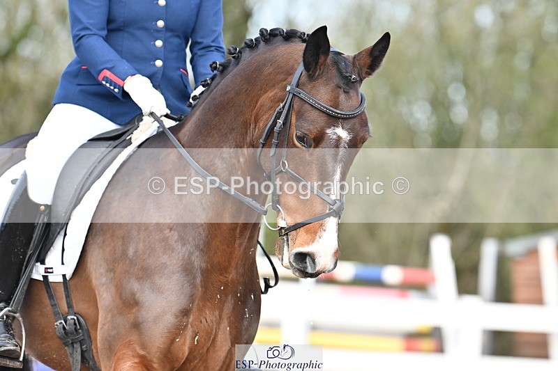 240218A-112841-06705 - 207-Charlotte.Dicker-Time.to.Fly.II