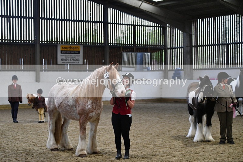 WJ5_5155 - Class 7 In hand coloured / odd coloured