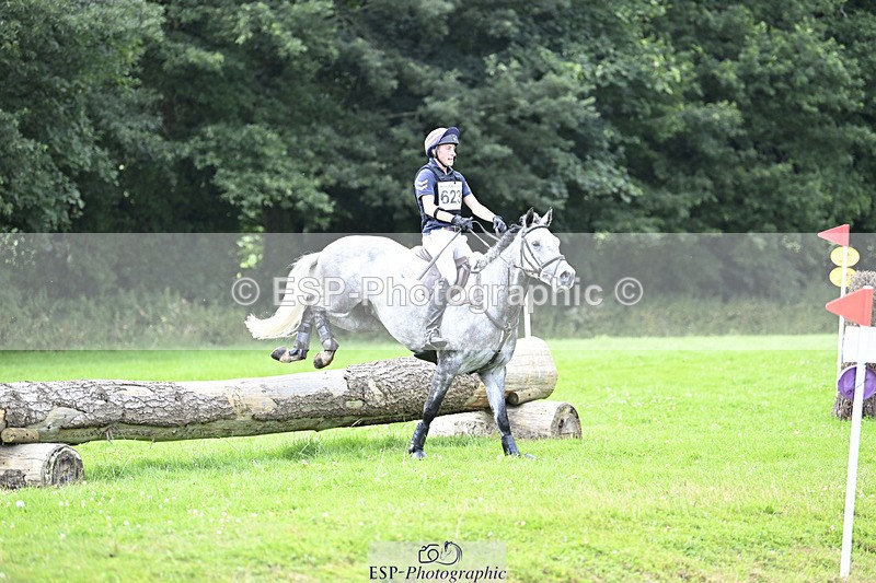 240804-153154-18289 - 623-Max_Forster-SIXTIES_SCION_OF_CLOONISLE