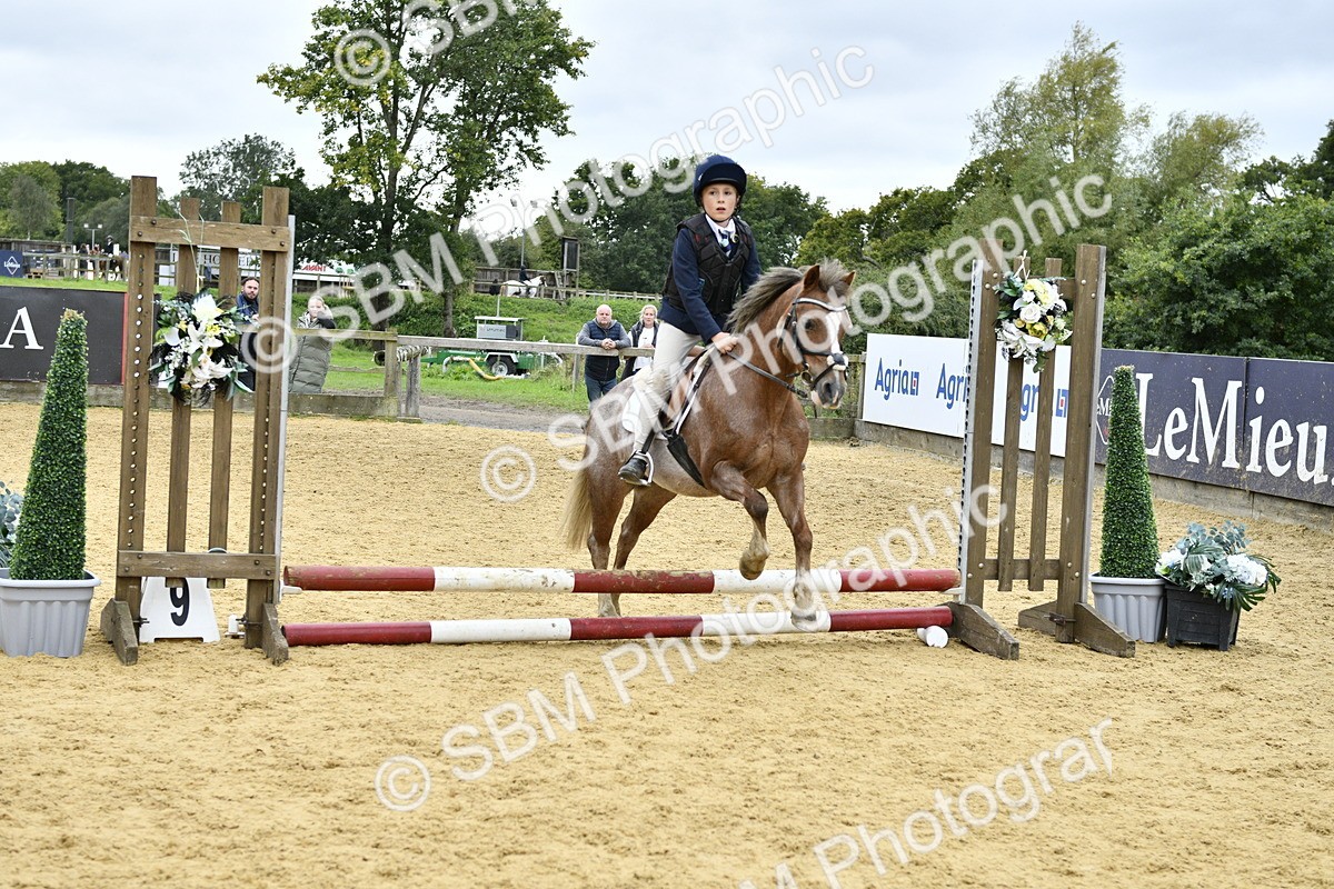 SBM_68011 - J2b - Mini Tour Junior Pony 30cm championship
