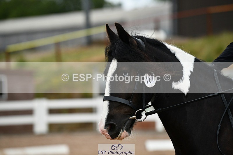 250705-133931-04725 - P1 Sections BDP1SNR, BDP1JNR 12.47 to 13.59