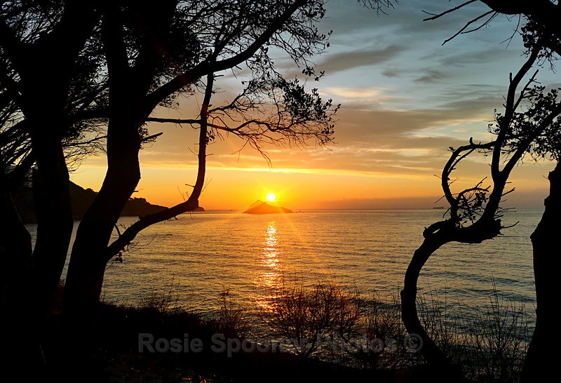 TQ226 - Sunrise over Thatcher Rock - Greetings Cards Meadfoot and Ansteys
