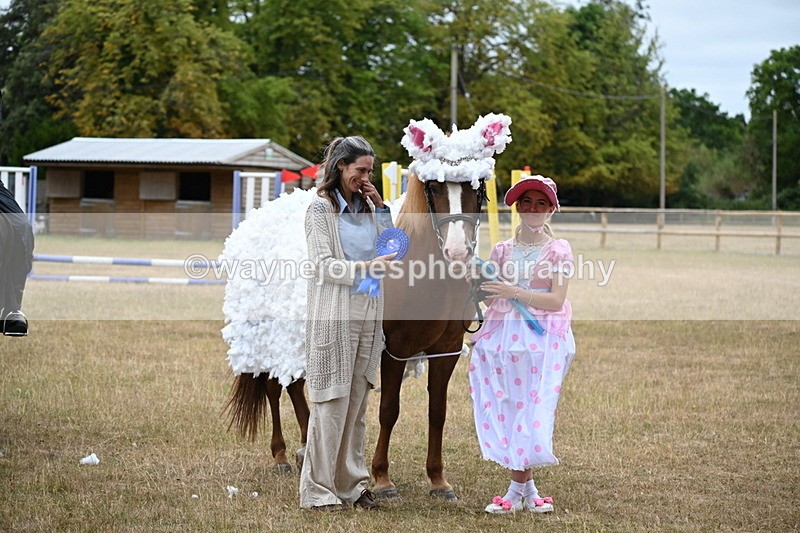 WJ6_9016 - Class 11 Fancy Dress