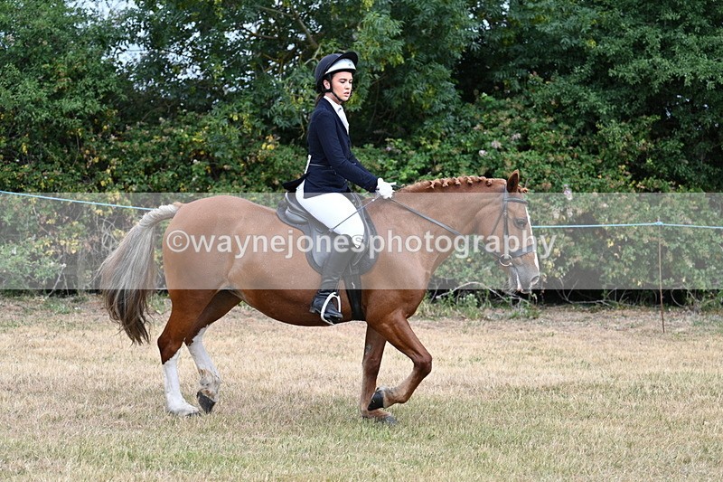 WJ7_0233 - Class 2 Best rider