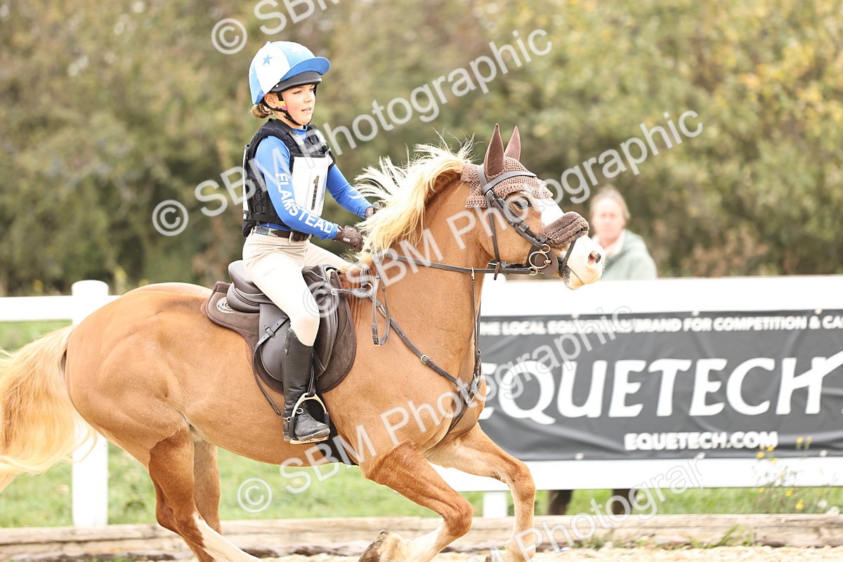 SBM_002091 - Class 2 - 80cm