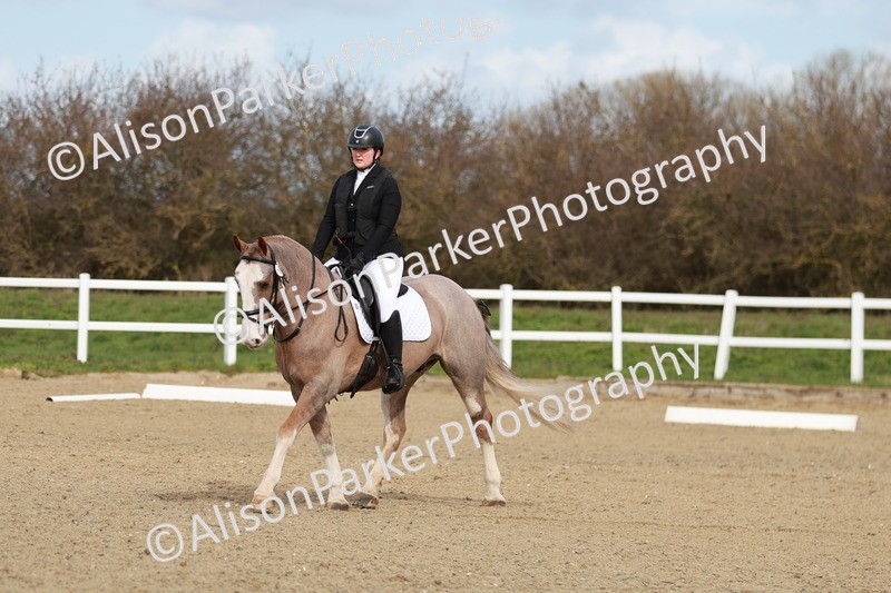 20260314-2765 - DR3 - Prelim 1