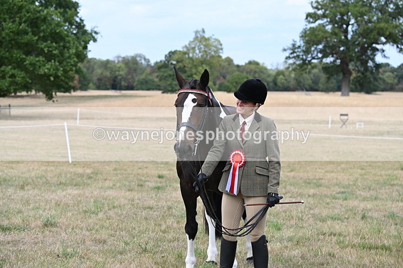 WJ6_6301 - Class 19 In-hand Veterans (Uploaded correct folder)